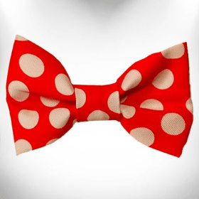 Polka Dot Dog Bow Tie