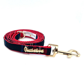 Carnegie leash