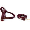 Red Wine Dog Leash