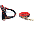 Collette Dog Leash