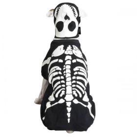 Casual Canine Glow Bones Custom (size: Xsmall)