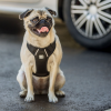 GF Pet  Travel Harness