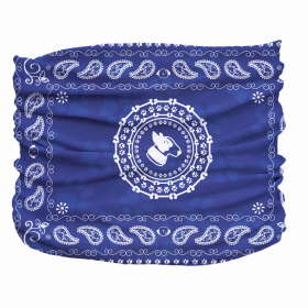 Bandana Pup Scruff (Color: Blue, size: Teeny)